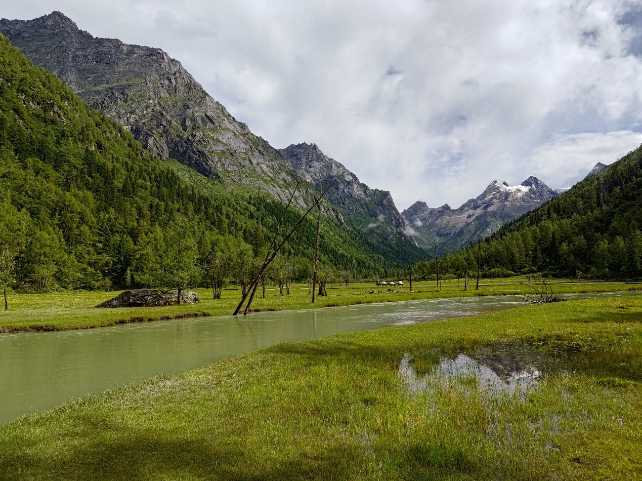 Sichuan & Chongqing: Four Rivers Classic